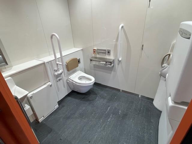 10_shibasaki-taiikukan_Unisex toilet.jpg